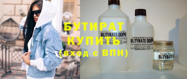 крисы Надым