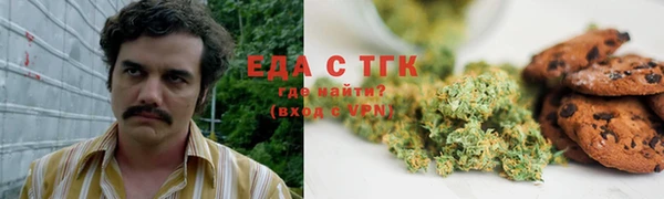 крисы Надым