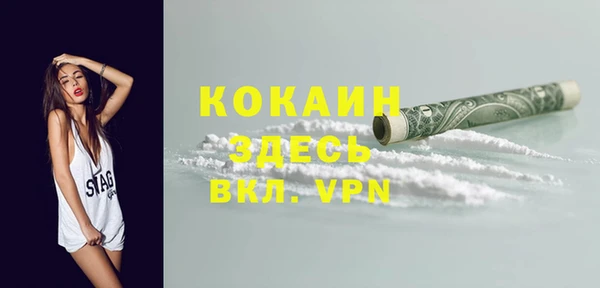 крисы Надым