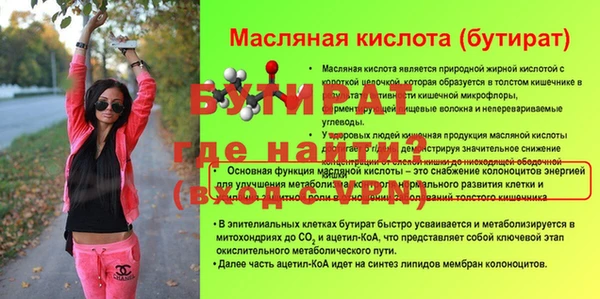крисы Надым