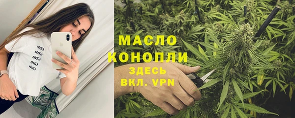 крисы Надым