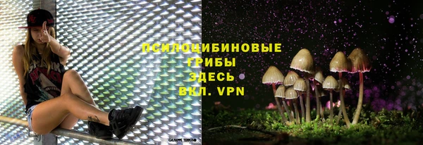 крисы Надым