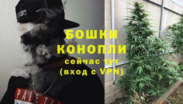 крисы Надым