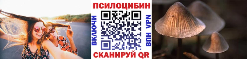 Галлюциногенные грибы мухоморы  Чегем 